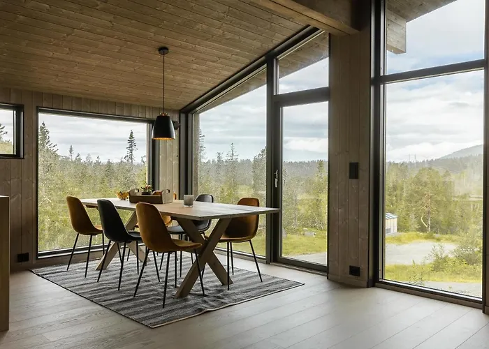 Moderne Pa Norefjell