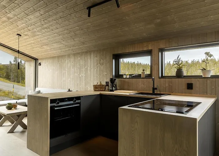 Tatil Evi Moderne Pa Norefjell *